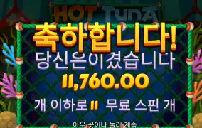 핫투나 1.1