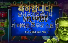 프랭키 1.9콩