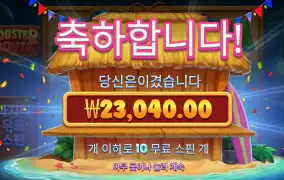 랍스터 2.3콩