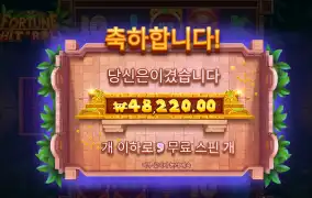 히트앤롤 4.8만