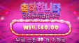 슈가다이스 1.4콩