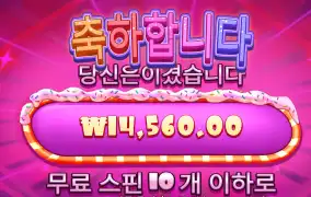 슈가다이스 1.4콩