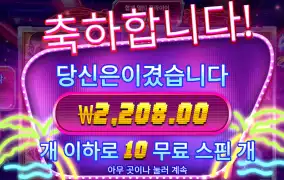 사이버시티 10스핀