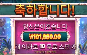 컬트 에눌없이 10콩
