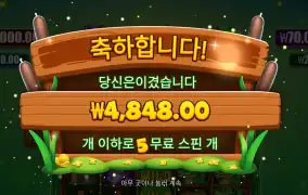 타이니토드 4848