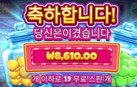 캔디자르
