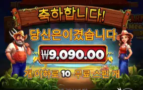 프라그마틱 반야드 9천원