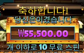 스티밍릴스 5만원