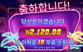 사이버시티 배수가