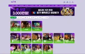 미르벳 먹튀