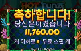 핫투나 수집어렵누