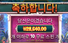 컬트 2.8콩