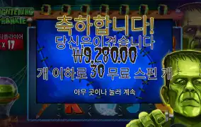 프랭키 30스핀