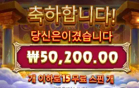 포춘올푸 5콩