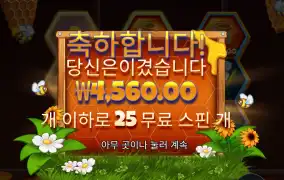 비키퍼 25바퀴