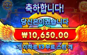 타이푼 1콩