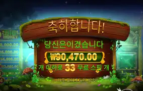 아이리쉬 크라운 300배