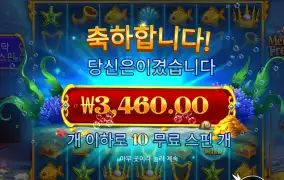 머메이드