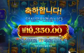 프라그마틱 머메이드 1.9