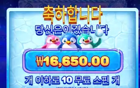스노우파티 1.6만