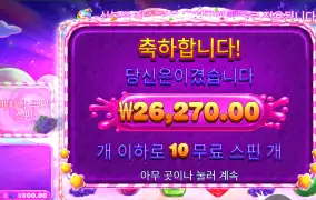 스윗보난자 2.6콩