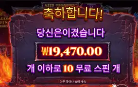 드래곤팟 1.9콩