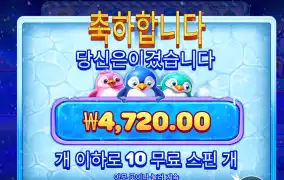 스노우파티 4천