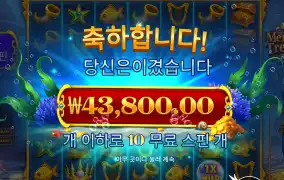 머메이드 4콩