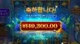 머메이드 15콩