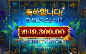 머메이드 15콩