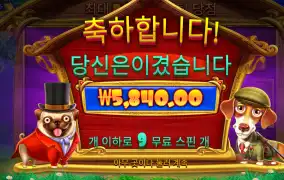 개집 로얄헌트 5천원
