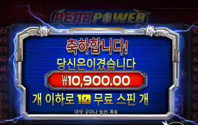 피크파워 만원