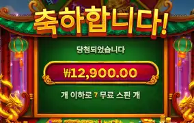 프라그마틱 드래곤타이거 1.2