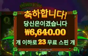 에메랄드킹 23바퀴