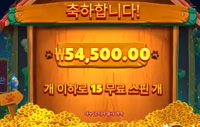 빅도그 5콩