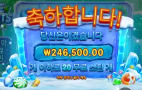 아이스민트 24콩 구웃