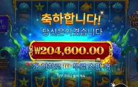 20만원 개꾸르 달달