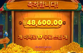 빅도그 17개스핀받았는데