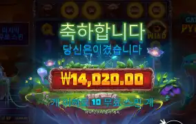 파이로스 1.4콩