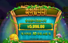 와일드리치 후기