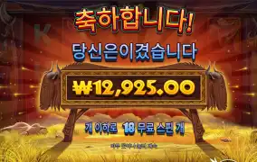 와일드비스트 18스핀