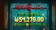 좀비 후기여