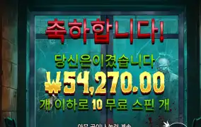 좀비 후기여