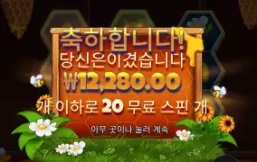 비키퍼 20개 스핀