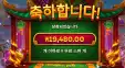 드래곤타이거 2만