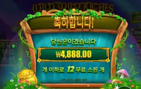 와일드리츠 4천원