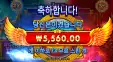 타이푼 12바퀴