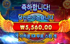 타이푼 12바퀴