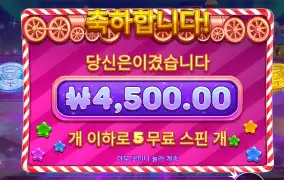 젤리 5스핀