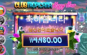 트로피카 4천원
